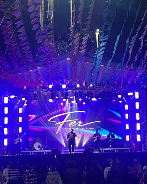 Palco iluminado em roxo com painel de LED e o público